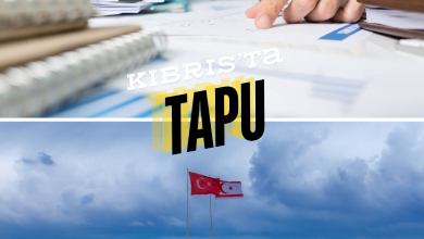 Types of Title Deeds in Cyprus